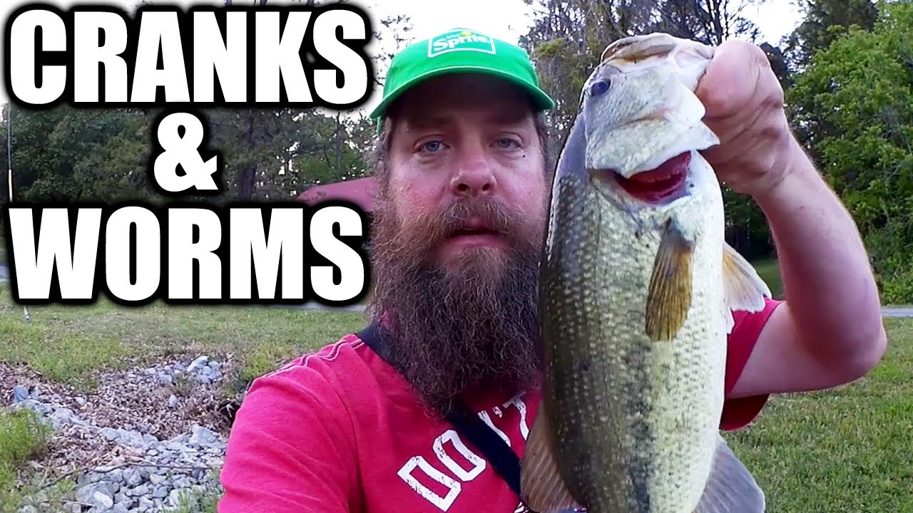 Bass Fishing with Crankbaits & Plastic Worms - Realistic Fishing