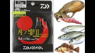 70%OFF DAIWA UVF GEKKABIJIN TSUKI-NO-HIBIKI-II +Si #0.4(7lb)-75m