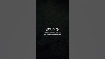 القارئ خالد نور