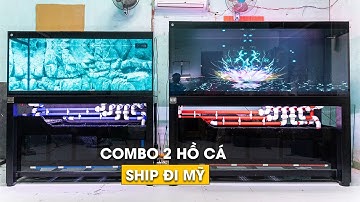 [Trailer] Ngắm Combo 2 HỒ CÁ CÔNG NGHỆ vận chuyển ĐI MỸ - Kính 15 & 12ly chơi cá CỘNG ĐỒNG