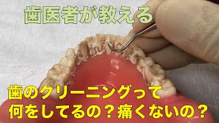 歯のクリーニングってどんなことをしているの？