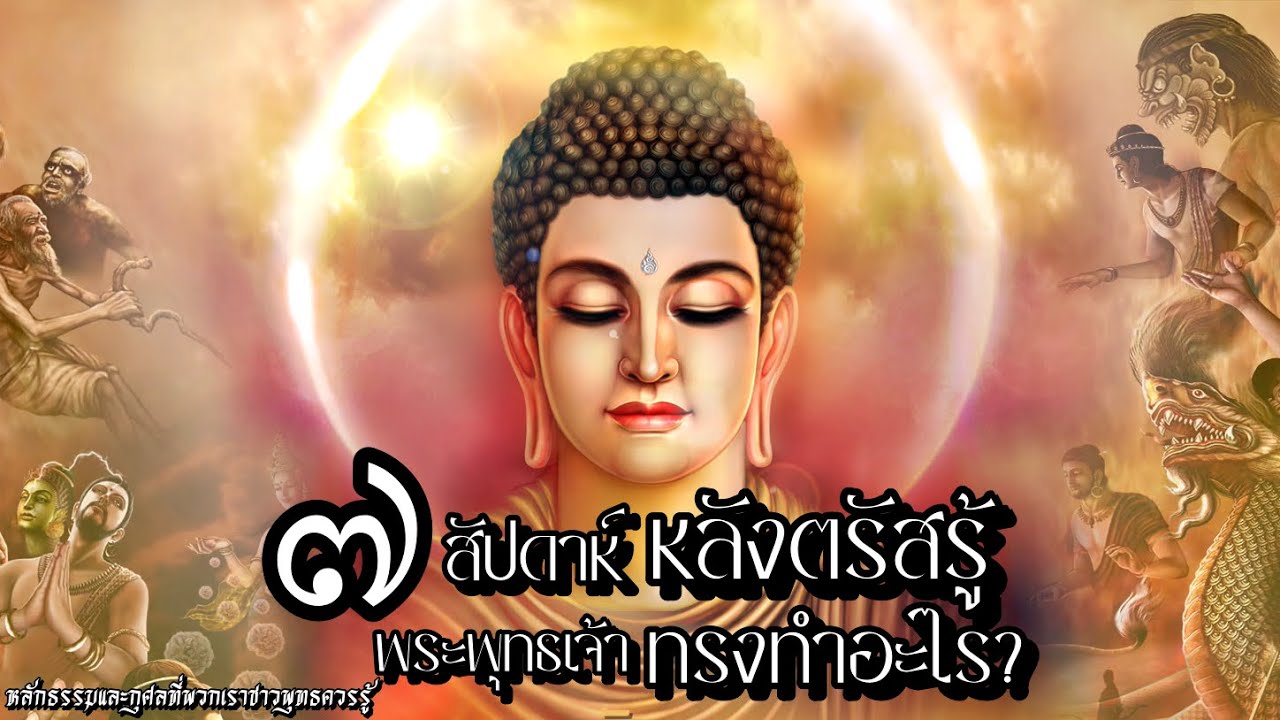 ๗ สัปดาห์หลังการตรัสรู้ พระพุทธเจ้าทำอะไร???หลักธรรมและกุศลที่ชาวพุทธควรรู้!?