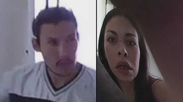 Burglars caught on camera breaking-in, letting victims' dogs loose