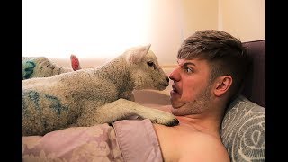 So the first week in the Bro Mansion has been a crazy one! Challenges, pranks, Elliot embarrassing himself in front of our new housemate Gee and of course a ... Preview Image