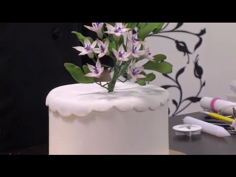 Como hacer un ramillete de jazmin con pasta de azucar - Hogar Tv por Juan Gonzalo Angel - 동영상
