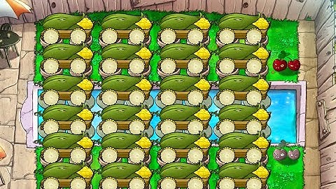 Double Cherry 24 Cob | Survival Endless