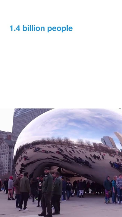 The 5 most populous countries in the world