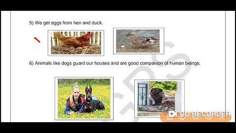 Grade 2 EVS Dated 25 08 2021