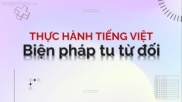 Soạn bài Thực hành Tiếng Việt trang 51 SGK Ngữ văn 11 tập 1 Cánh diều