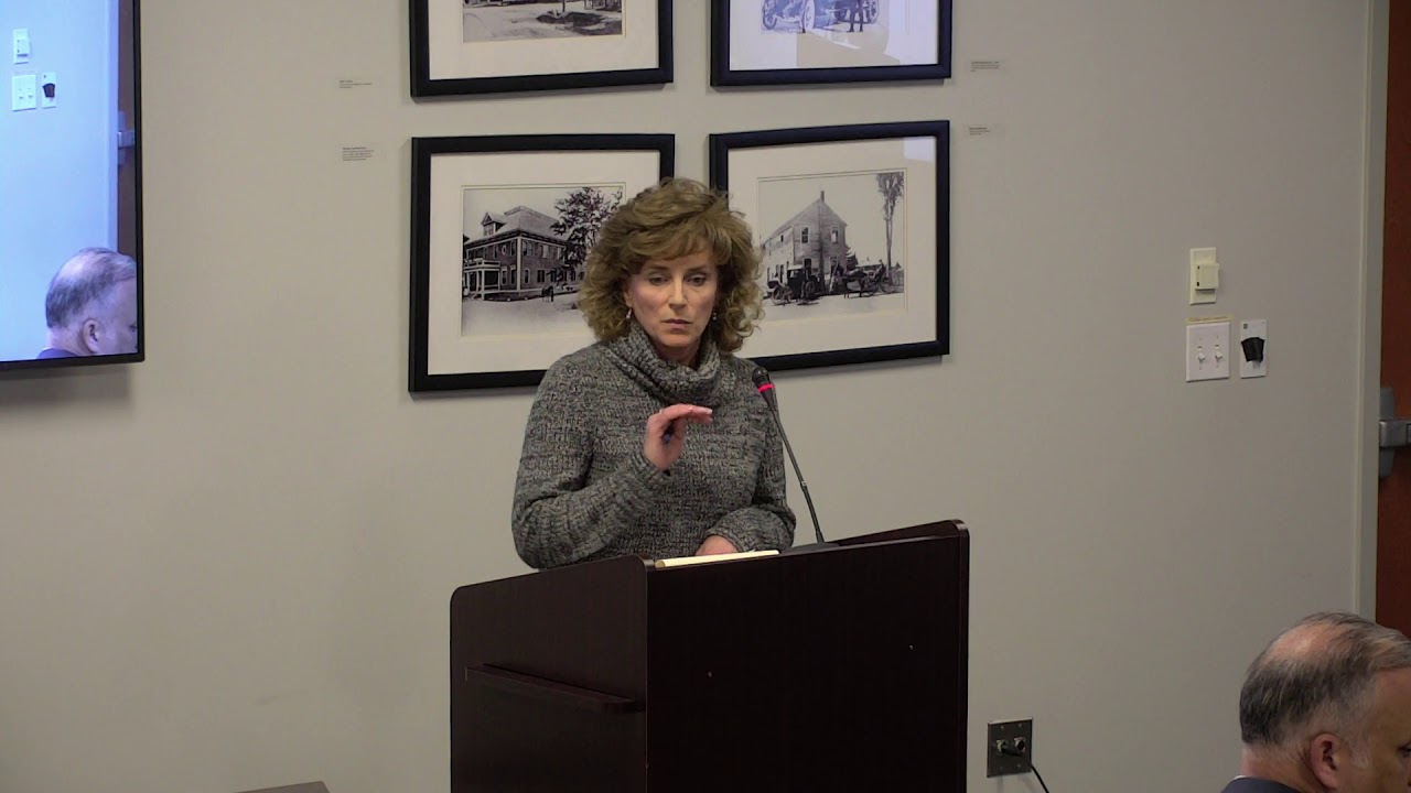 Anne Mitchell presentation on Multiplex proposal - YouTube