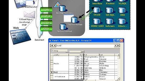 2-Delphi DataSnap  Client : Create DBGrid Linked to Datasnap Server TDataSetProvider component شرح