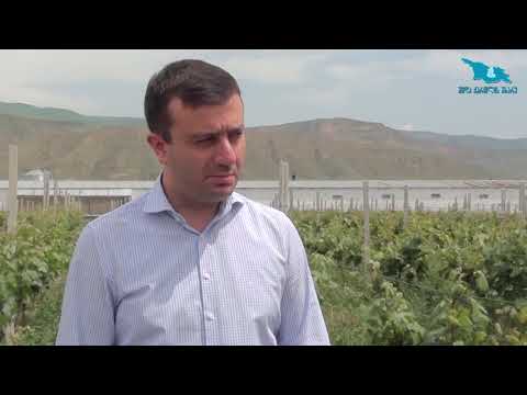 რწმუნეულმა თელიანში მდებარე მეფრინველეობის საწარმო დაათვალიერა