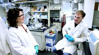 Chemistry teacher joins cutting-edge research at WashU to create lesson plans for high schoolers
