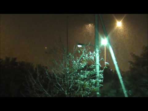 Oinofyta: Snow 29-12-2016