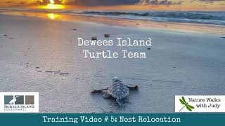 Turtle Team Nest Relocation