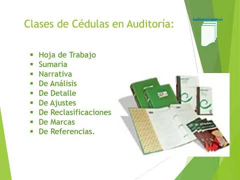 CLASES DE CEDULAS EN AUDITORIA