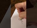 Feather Drawing | Drawing 5 #shorts