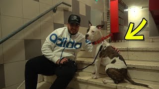 Tchatche rencontre celibataire photo 2