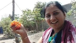 Went to Navaniya village at Nanda's house and ate gudri bow today