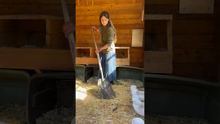 Come with me to check out my homemade compost!