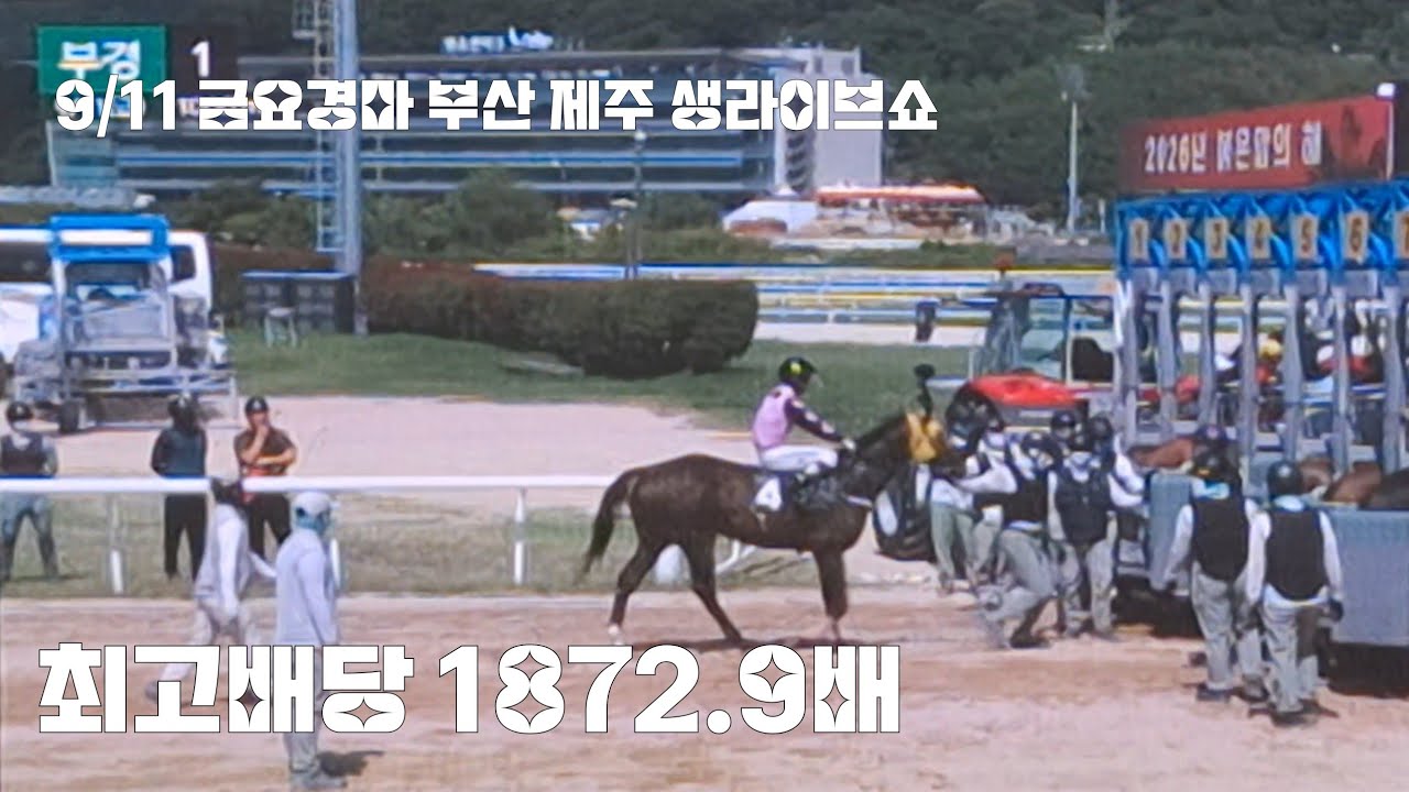 말도 몇마리안뛰는데 더어려운것같네?(금요경마 부산.제주 생라이브쇼)