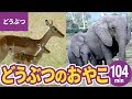 動物・いきものまとめ［5］大自然の動物親子：ライオン／ゾウ／キリン／サイ／カバ／シマウマ／チーター ほか〈104min〉