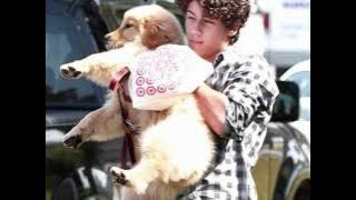 JONAS BROTHERS HEY BABY AND MUCH BETTER 0001