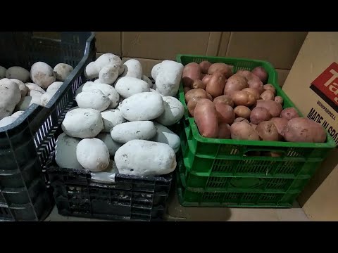 Video: Cómo Almacenar Patatas