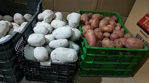 ¿A qué temperatura deben conservarse las patatas?