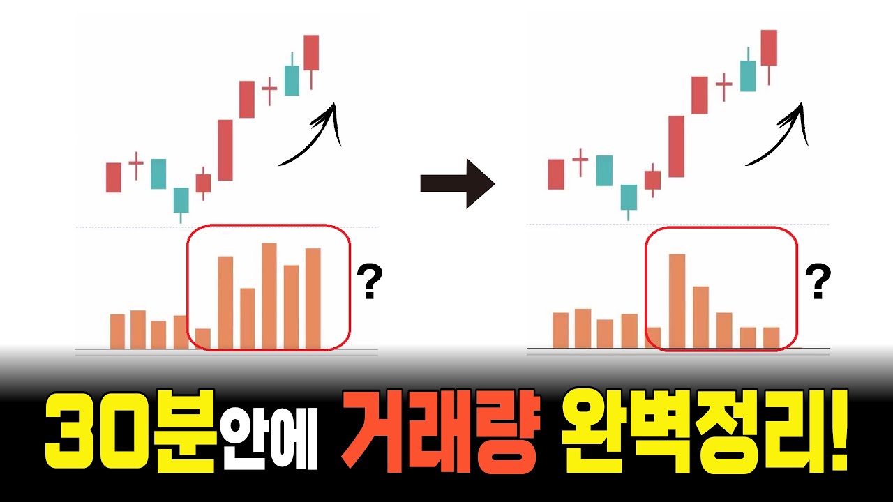 거래량의 모든것, 30분안에 확실하게 이해시켜 드립니다