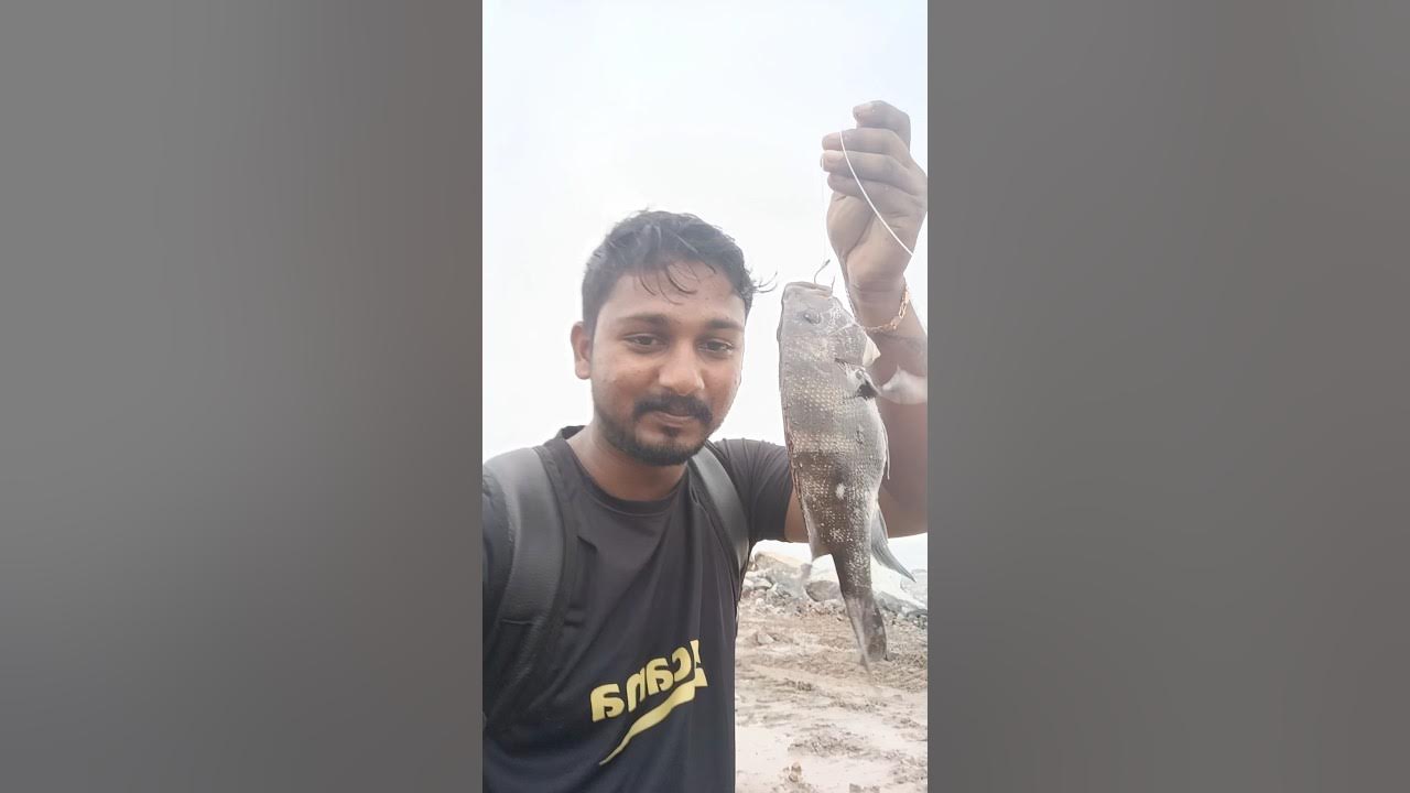 Tamil Blubber Lip Fishing Using Dead Bait Back To Back shorts tamil-blubber-lip-fishing-using-dead-bait-back-to-back-shorts