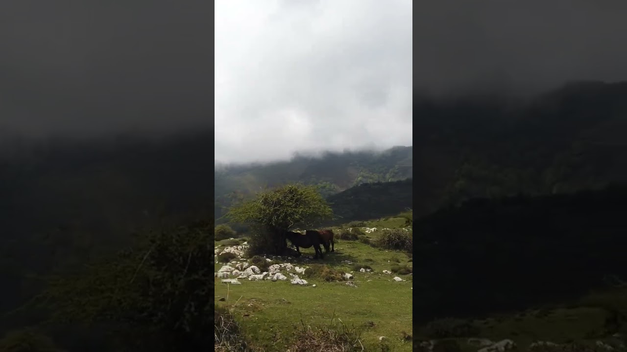 De ruta por Cantabria