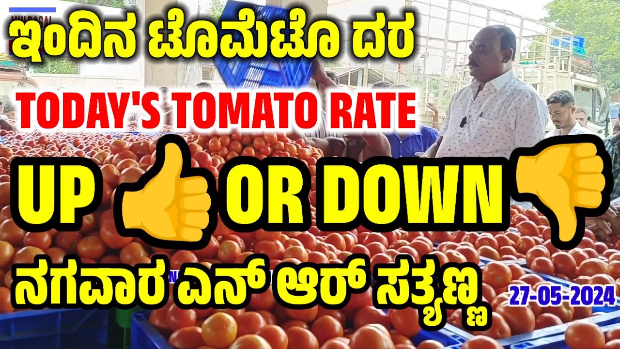 May 27, 2024 TODAYS TOMATO RATE AT NRS TOMATO MANDI KARNATAKA