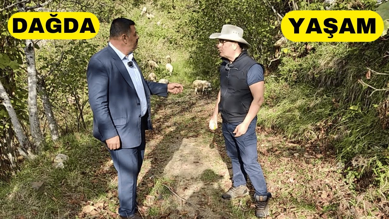KARTEPE DAĞINDA HİBE İLE KOYUN ALDI  (Dağda Koyun Kazandırıyor mu?)