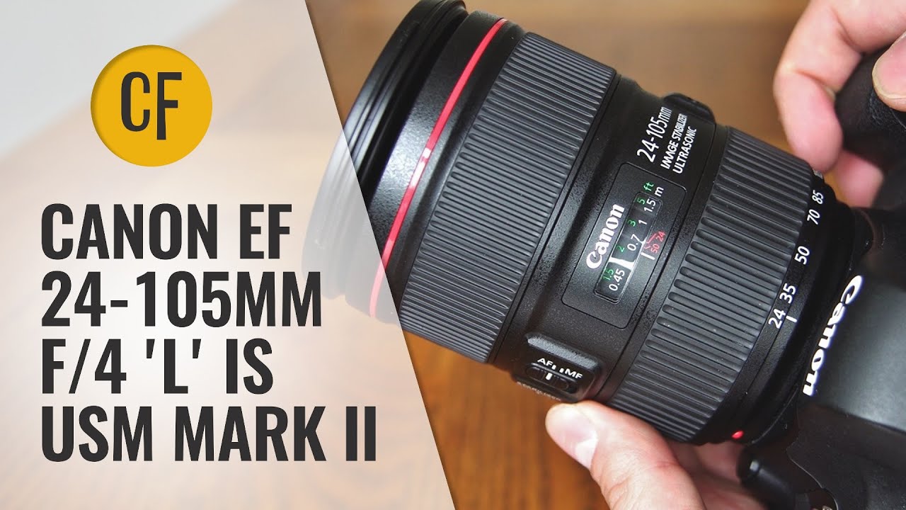 The Only Lens You Need and it's Under $500? Canon EF 24-105mm f4 L