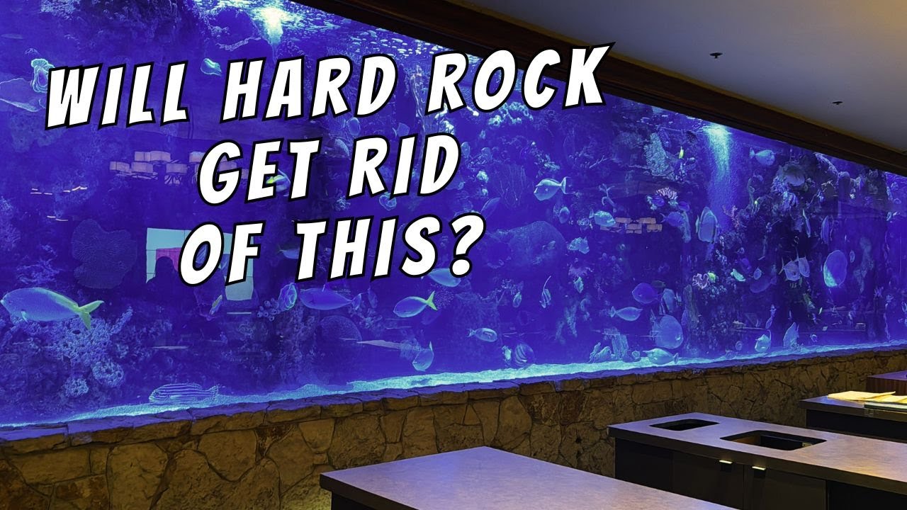 Iconic Mirage Las Vegas Fish Tank Days Could Be Numbered Will They iconic-mirage-las-vegas-fish-tank-days-could-be-numbered-will-they