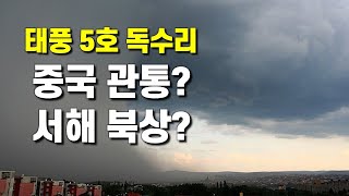 태풍 5호 독수리의 예상진로가 중국 관통과 서해 북상으로 갈립니다