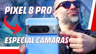 📱 Google Pixel 8 Pro: sus cámaras a fondo 📷