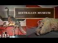 Australian museum walking tour dinosaurs wansolmoana surviving australia