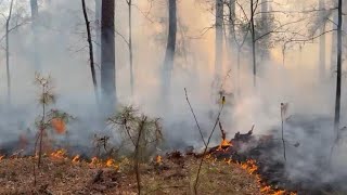 Smoke Rising From Fire Burning In Ads Reservoir In West Houston