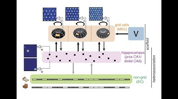 Modelling spatial mapping, memory and their underlying mechanisms in the hippocampal complex