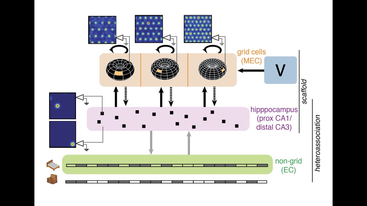 Modelling spatial mapping, memory and their underlying mechanisms in ...