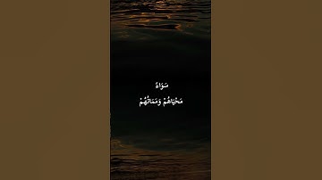 سورة :الجاثية /بصوت جميل