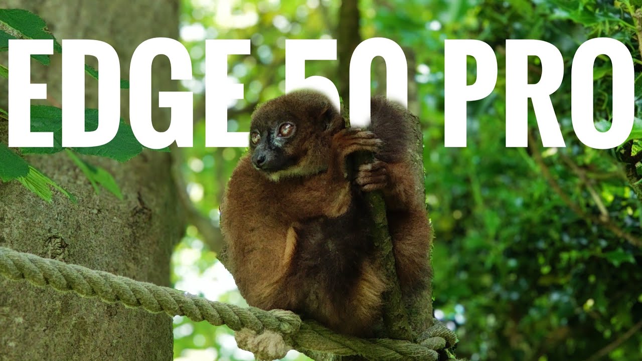 Motorola Edge 50 Pro - 4K Video Test + Photo Samples