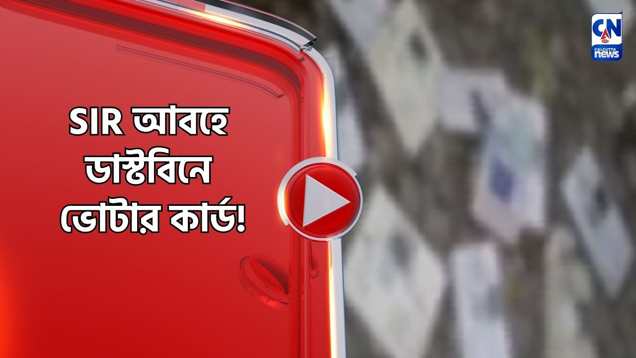 SIR আবহে ডাস্টবিনে ভোটার কার্ড!