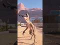 Khi bạn chán không biết làm gì=))))) #dinovn #games #jurassicworldevolution #indominusrex