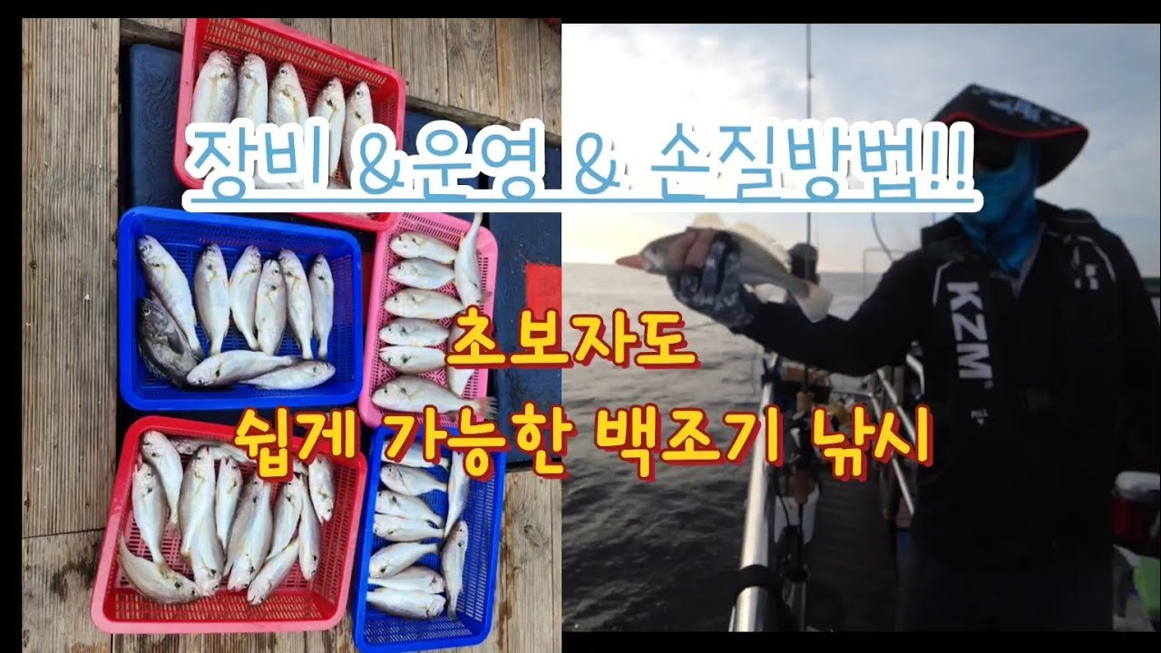 #백조기낚시 #백조기 #초보낚시 누구나 쉽게하는 백조기 낚시(장비,운영,손질방법) - YouTube