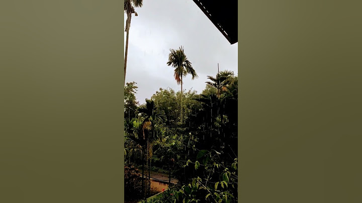 মৌচুমী বতাহ, Weather in Assam today