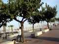 BARCELONA BEACH WALK along Barceloneta Beach Promenade ...