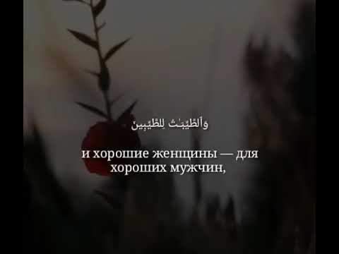 аят скверные женщины для скверных. скверные для скверных хорошие для хороших аят из корана. хорошие для хороших скверные для скверных. скверные женщины для скверных мужчин. северные женщины для скверных мужчин.